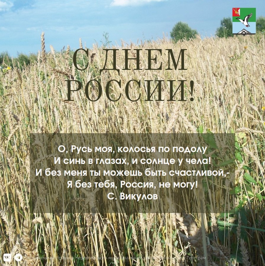 Уважаемые жители Череповецкого района! Примите самые сердечные поздравления с важным государственным праздником - Днем России!.