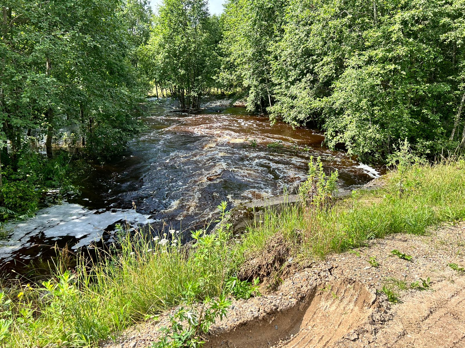 Синоптики ожидают локальные повышения уровней воды на реках области.